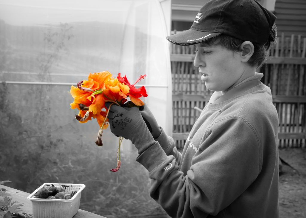 Gallery Rosehill School